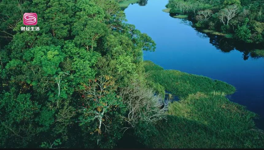 东丽塑料成都有限公司,广东经济频道聚焦南粤