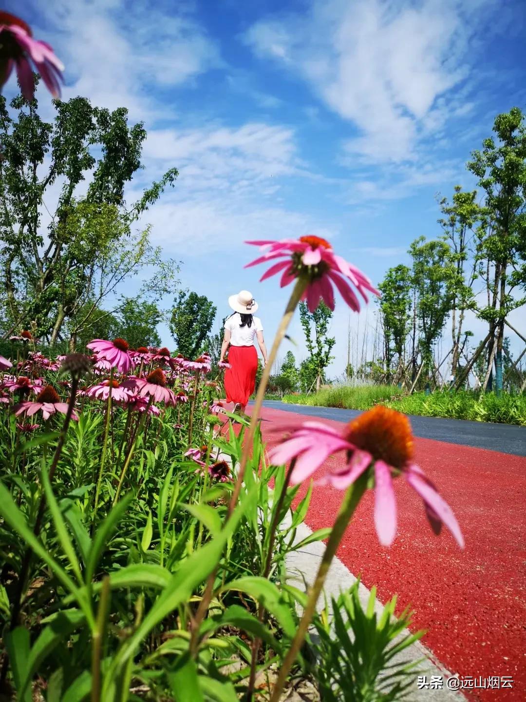 华为自拍杆使用教程视频,爱酷者自拍杆怎么使用