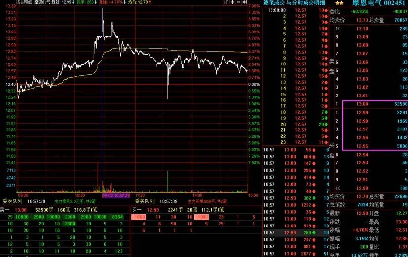 *家庄**机构,分时盘口托单买盘,真真假假,如何解读