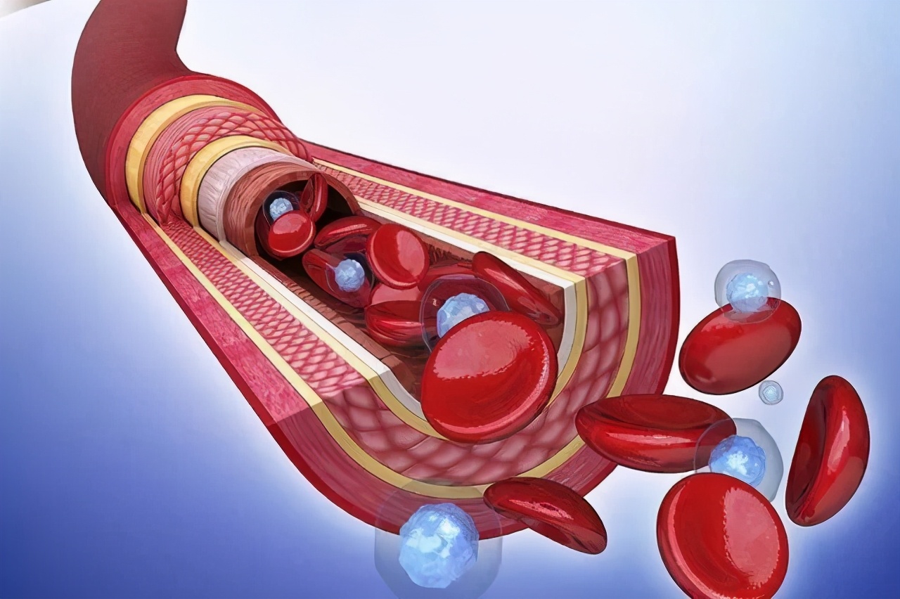 少肌症是一种缓慢发展的肌肉疾病,发病率会因为人种不同具有差异