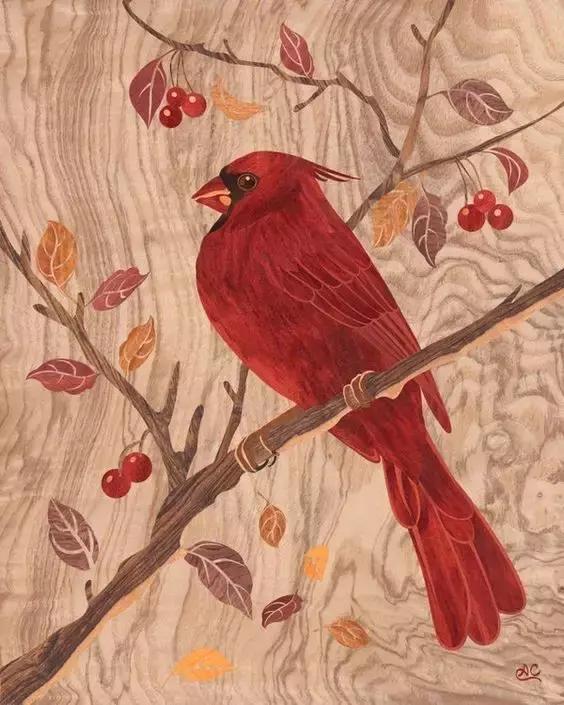 最美木皮,轻奢极简天然木皮