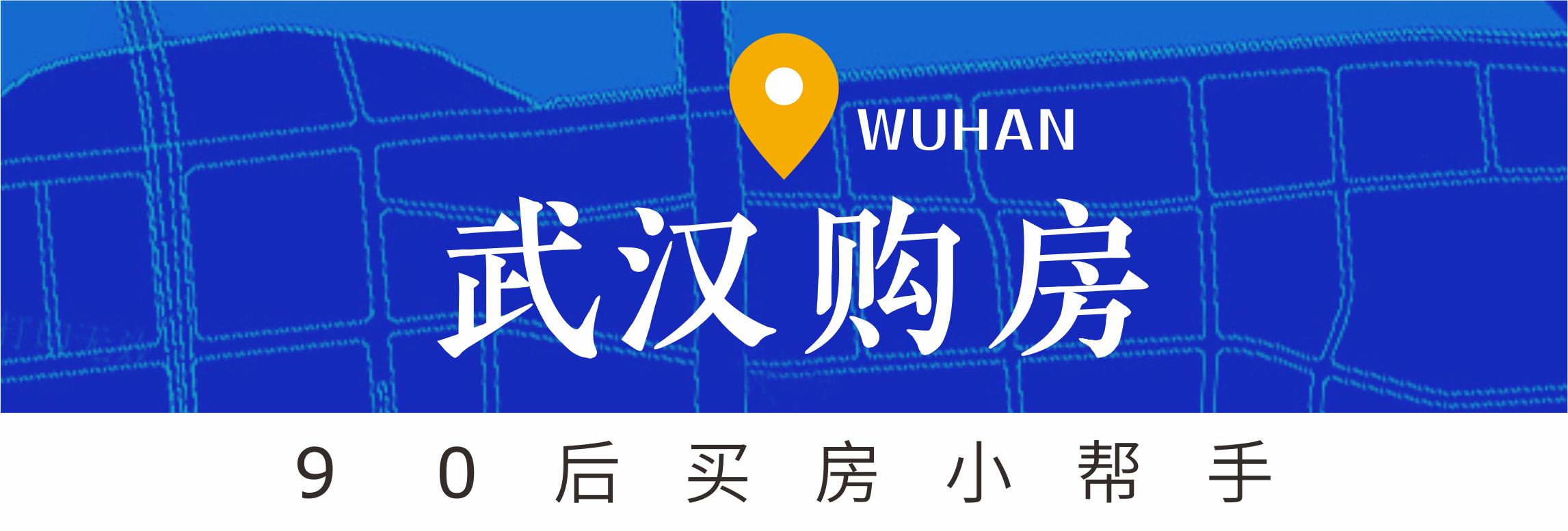 白沙洲告别篇:留汉大学生“首站”青菱新区