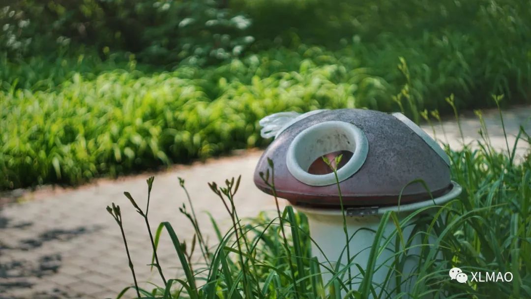 摄影爱好者的拍摄题材,一名业余摄影爱好者的简介