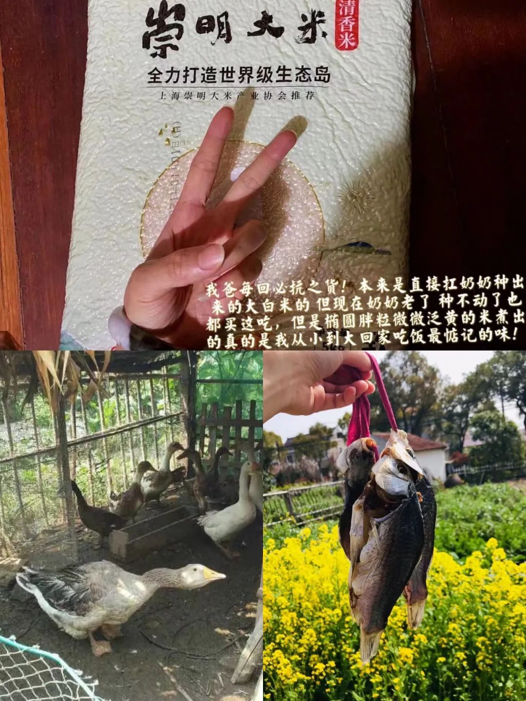 为了一口家乡土特产，你永远想不到网友有多拼