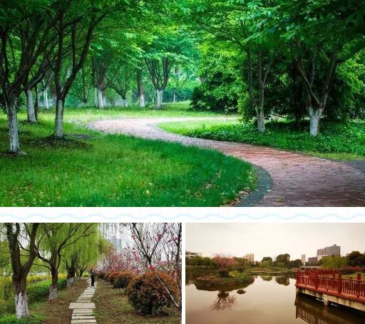 苏州工业园区职业技术学院宣传片,苏州工业园区工业技术学校摄影