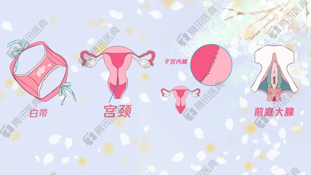 女孩们，*处私**有酸奶味是正常的，别被商家骗了买什么*处私**香水