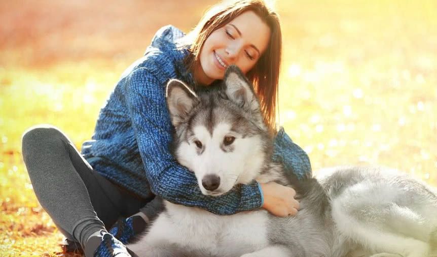 狗狗太黏人了,狗狗太粘人对它凶一点会好吗