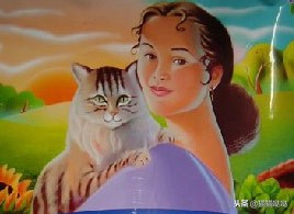 深扒不同国家的40款猫粮,深扒醇粹猫粮