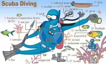 英语听力场景词汇大汇总,高一、高二、高三均适用