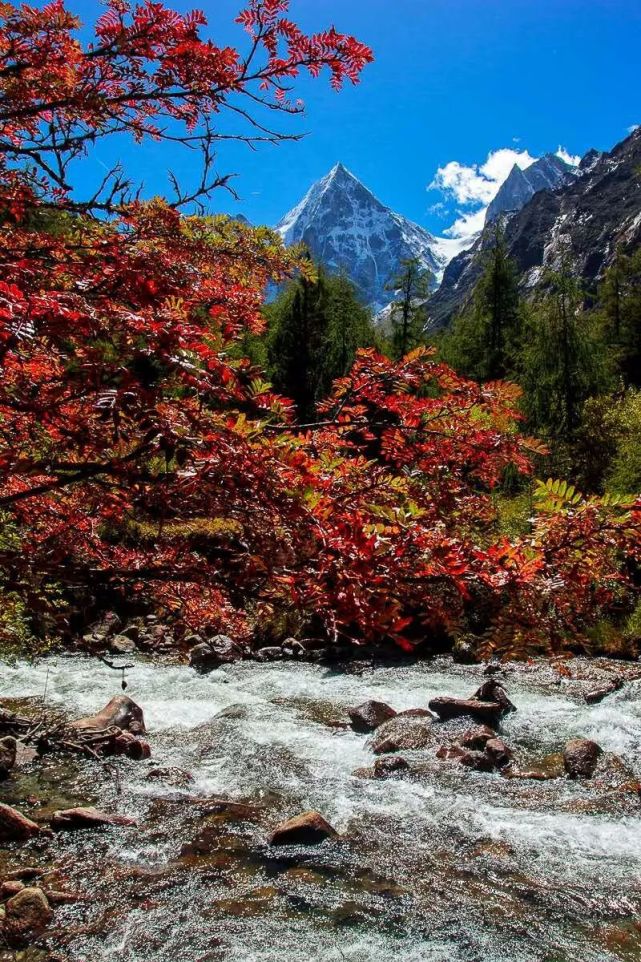 阿坝州红叶之旅,什么时候去阿坝州看秋景最佳