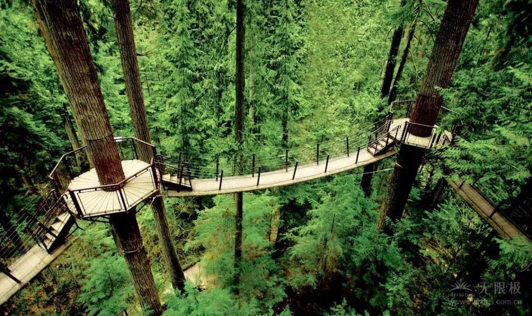 为什么富人都宜居在温哥华,为什么温哥华纬度高却不冷