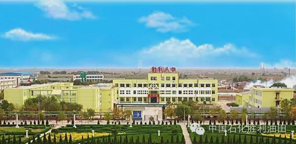 胜利油田学校有几个,胜利油田有多少学校并分布在哪里