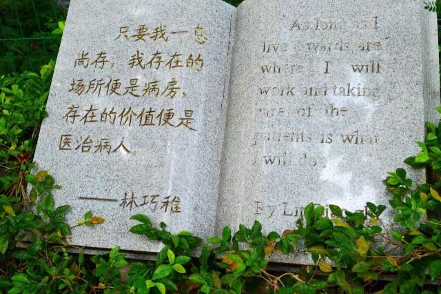 袁隆平接生的那个医生叫什么,袁隆平爷爷的接生医生