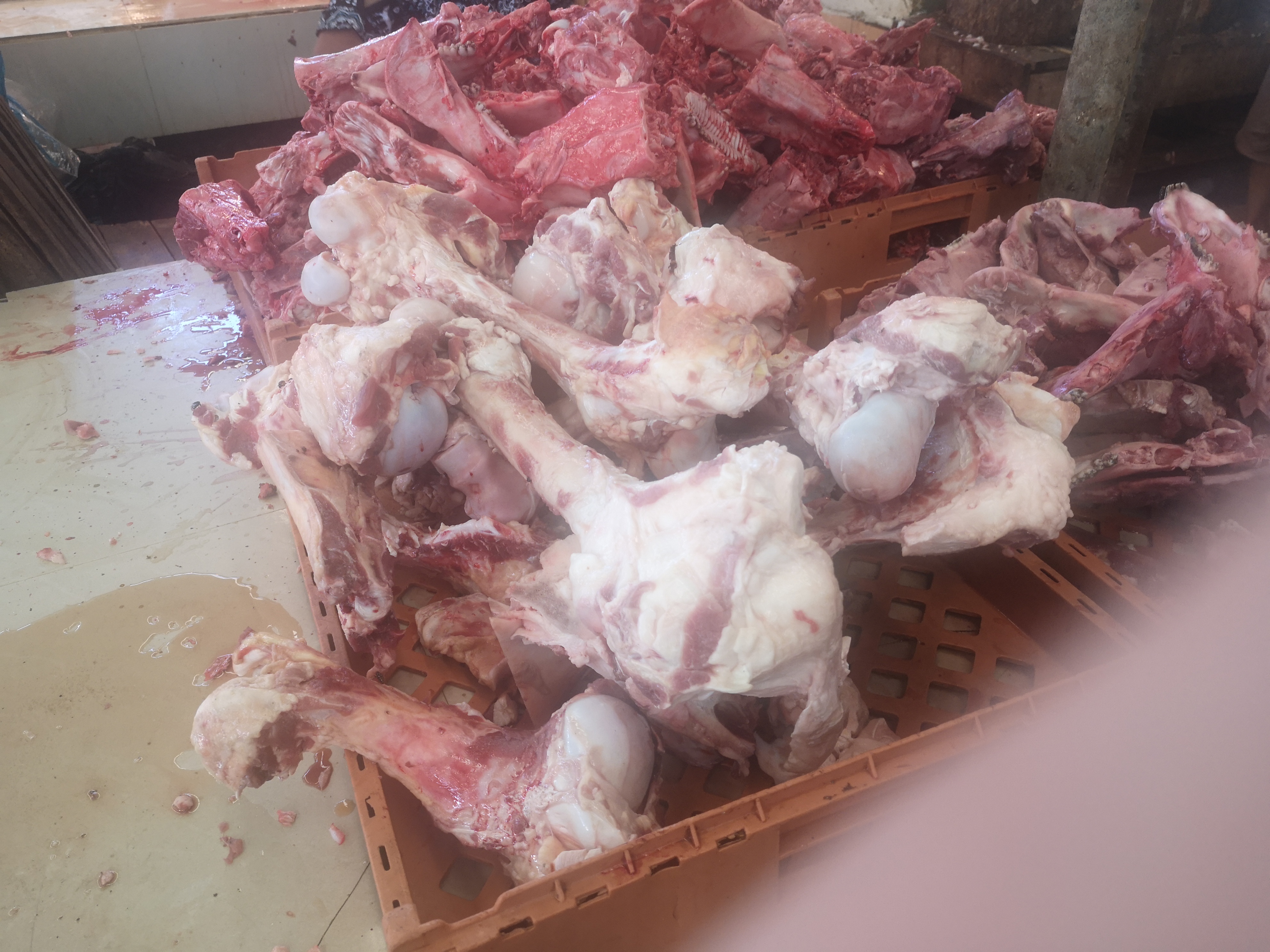 带你看菲律宾的海鲜市场,菲律宾海鲜市场最新行情