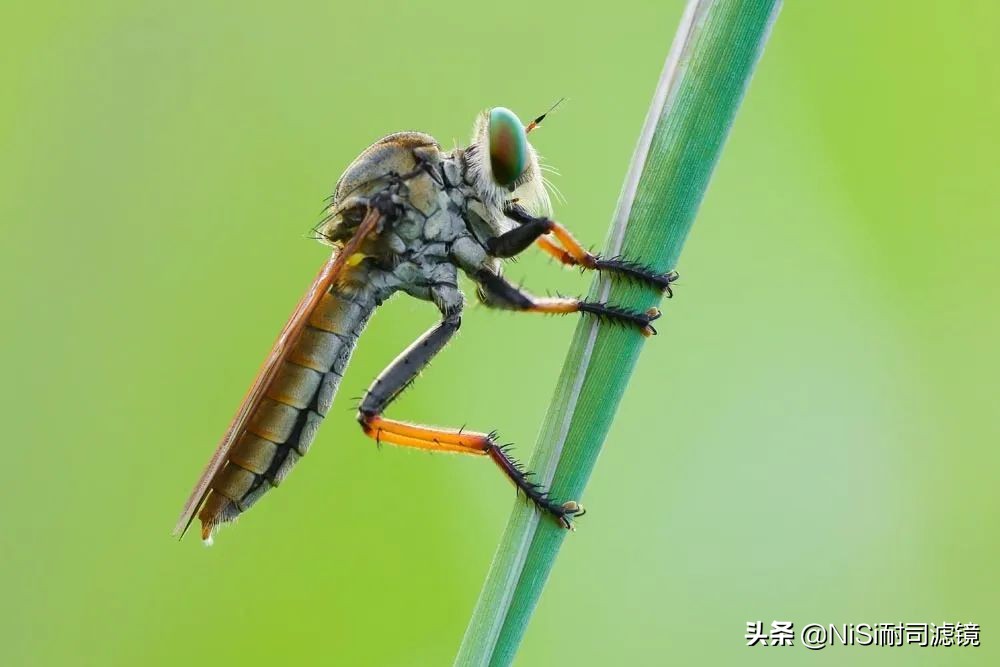 国家地理2023摄影大赛,国家地理摄影大赛冠军