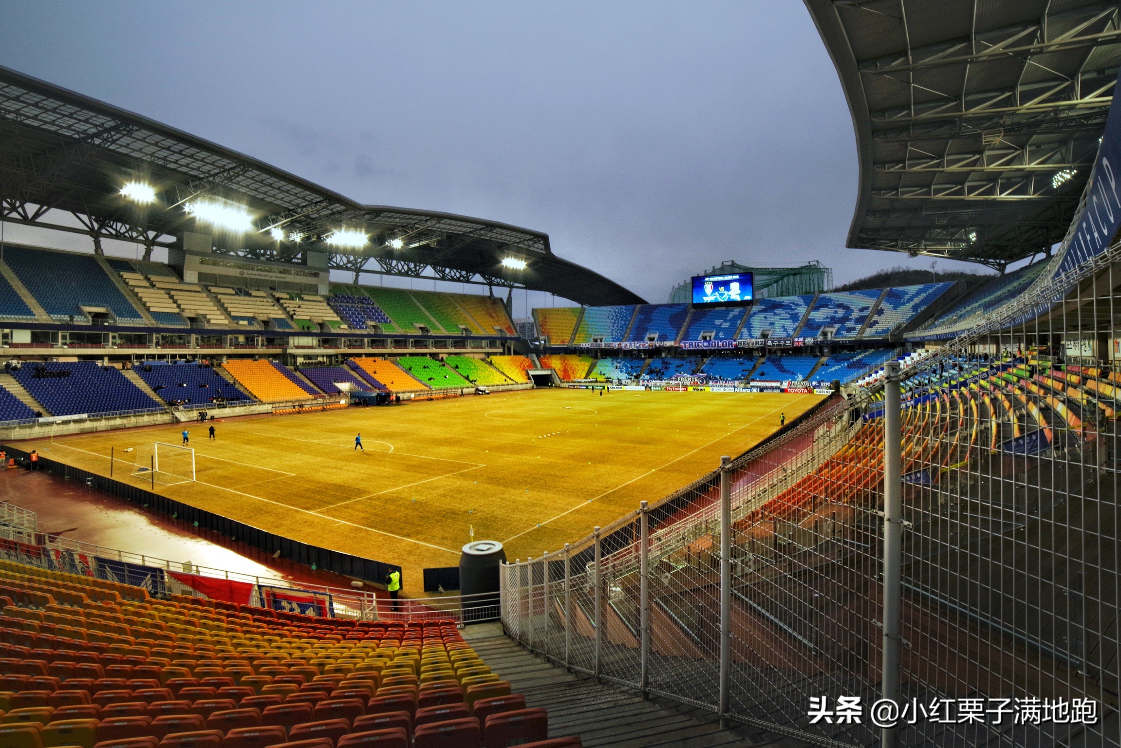 疫散花开张家界,疫散花开欢迎归来