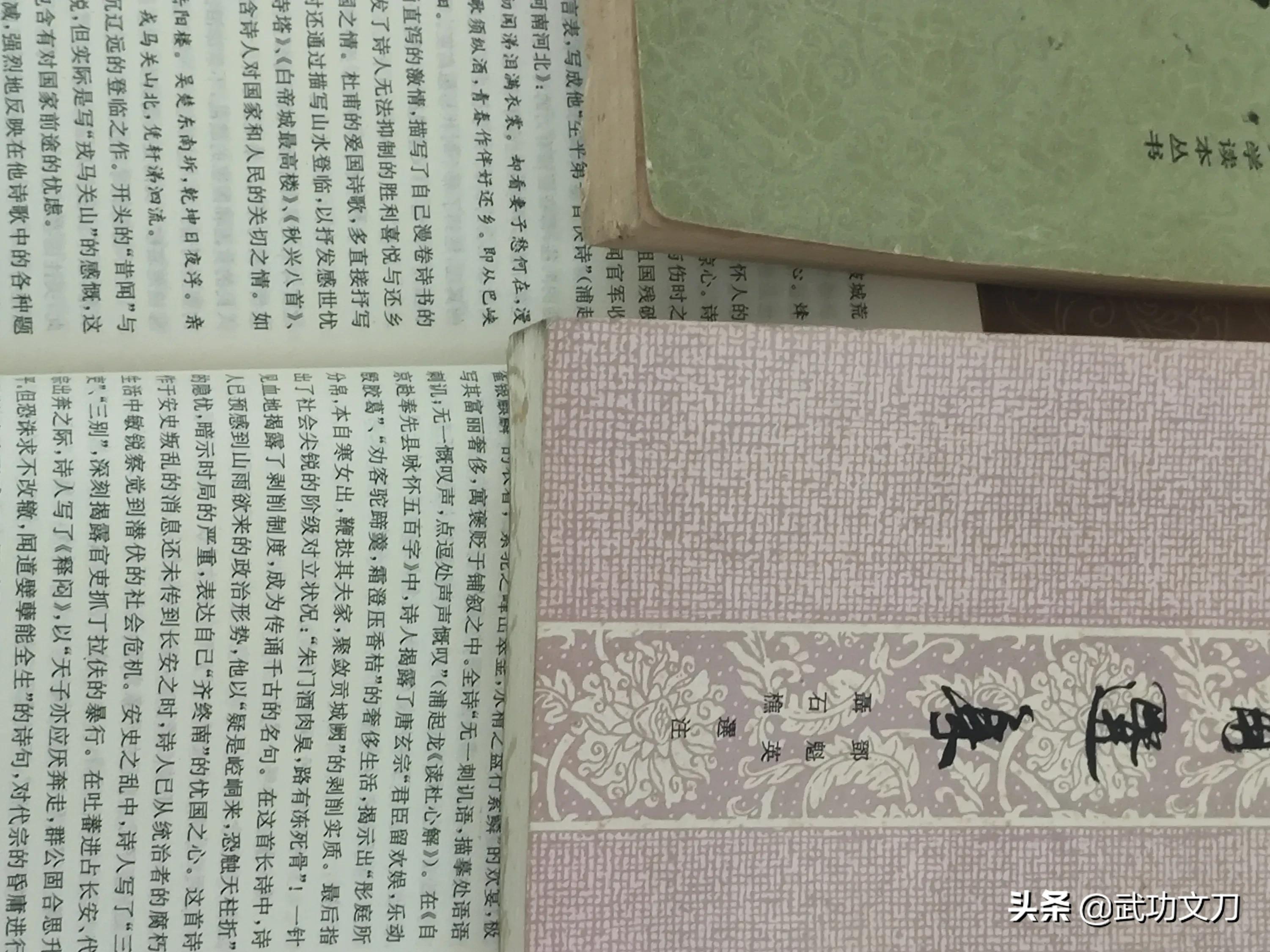 康震教授评石壕吏视频,康震评石壕吏观点