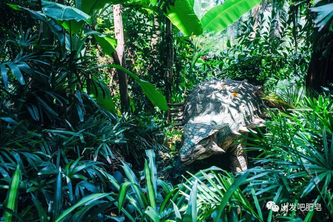 长隆飞鸟乐园怎么去长隆欢乐世界,汉溪长隆地铁站去长隆飞鸟乐园