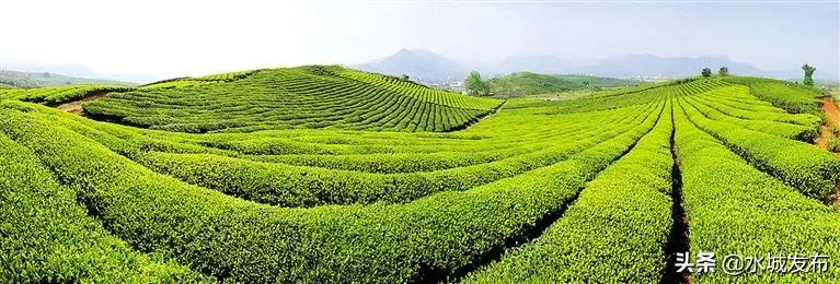 水城县特色产业,全域水城美丽乡村建设