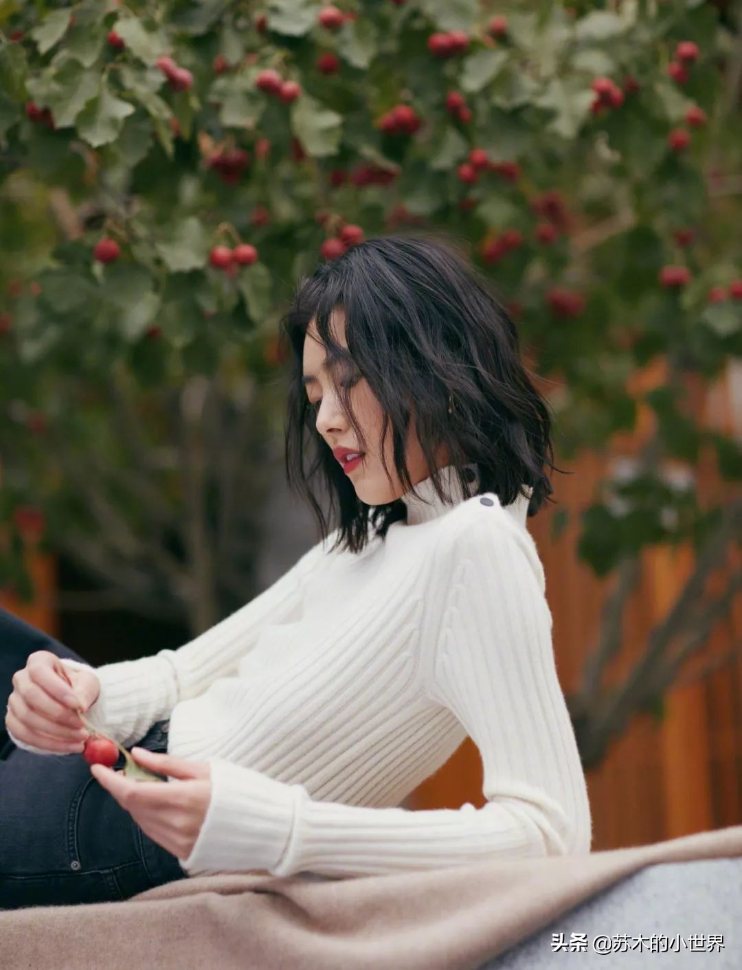 loropiana的围巾多少钱,loropiana围巾欧洲价格是多少