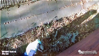 美国快递员送快递怎么处理,美国快递员送完包裹