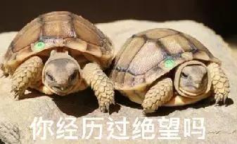 贴吧上的奇葩事,贴吧遇到各种奇葩事