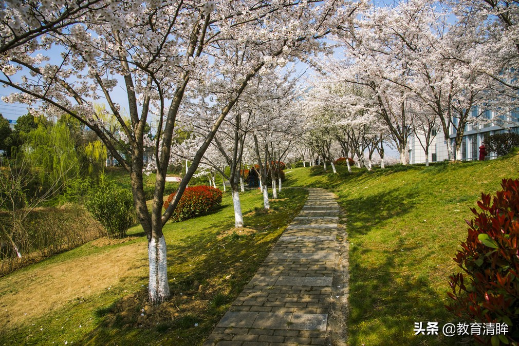这6所大学堪称业内独一无二,这所大学很出名用英语怎么说