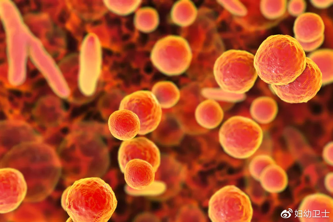 支原体感染怀孕还能治疗么,怀孕了感染了支原体感染能治疗吗