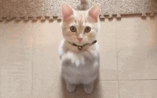 斯诺登曝出棱镜门发生在哪一年,棱镜门事件斯诺登怎么样了