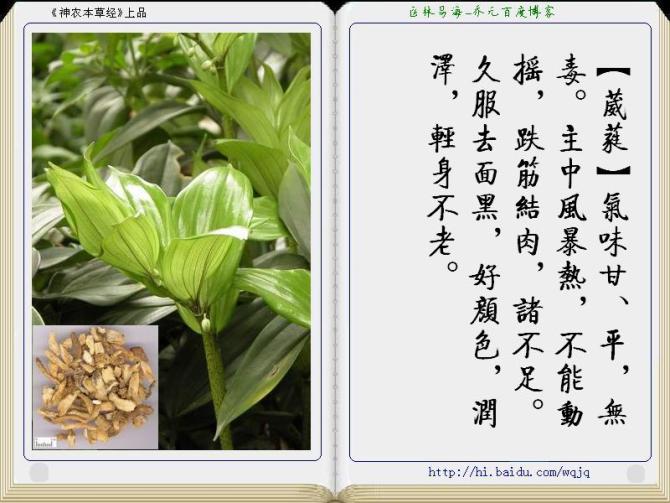 本草纲目中药讲解视频,本草纲目中药图谱及药理讲解