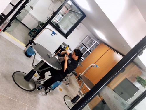 宠物港宠物店加盟利润怎么样,宠物港美容店推荐