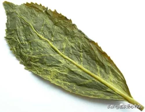 福建最好的茶叶有哪些,福建有哪些茶叶比较好