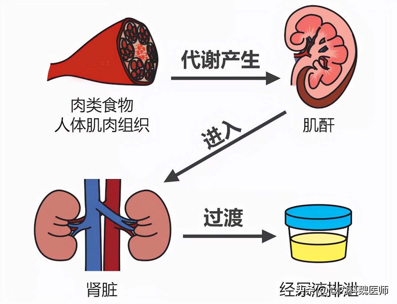 肌酐高要怎么降就知道严重性,肌酐高肾衰竭治愈偏方