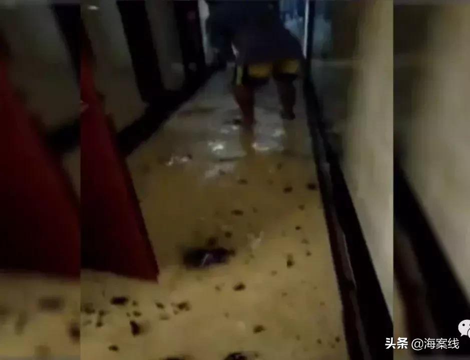 柳州一小区业主在家门口烧纸壳触发喷淋系统，两部电梯被泡坏