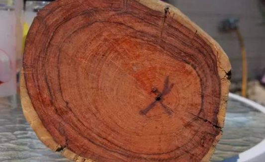 微凹黄檀和交趾黄檀的区别,交趾黄檀与微凹黄檀的区别