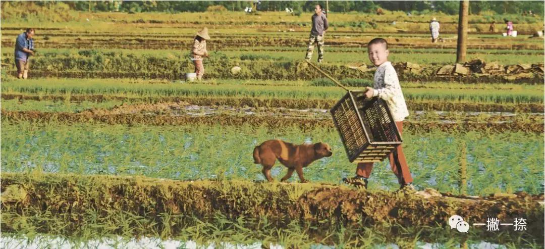 什么样的照片可以放到屏幕上,什么样的照片容易获奖