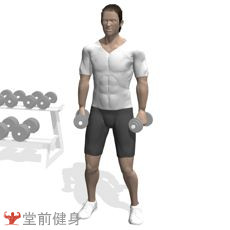 一周4练健身计划,4分化训练怎么安排一周计划