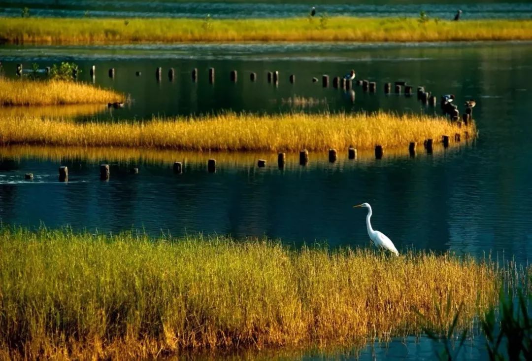 武汉11月打卡景点和网红地,武汉50个值得打卡的地方
