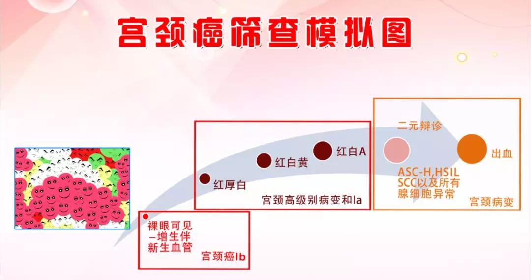 福建中医药大学附属龙岩人民医院「佳音频传」妇科女将豪夺全国技能比武大奖