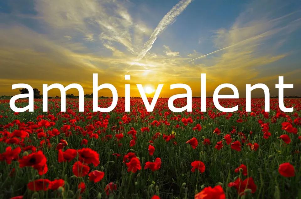 每日单词ambivalent,英语每日一词lad