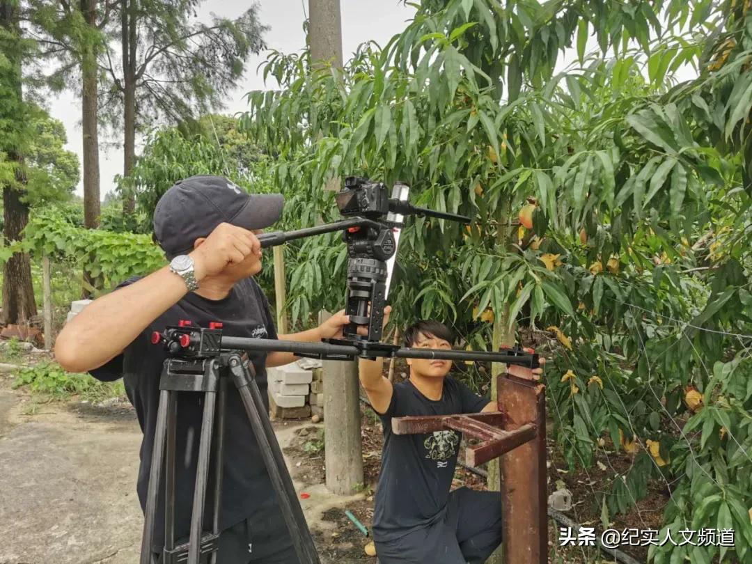 只有辛苦付出才有喜悦的收获,只有辛苦的付出才有丰收的喜悦