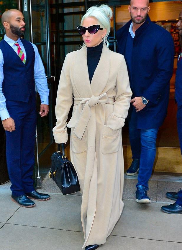 朱莉安德鲁斯和ladygaga,ladygaga朱莉