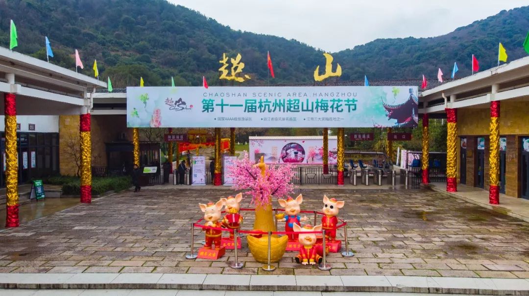 杭州孤山梅园图片,杭州赏梅园