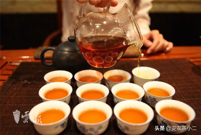 云南普洱茶生茶十大名茶,云南十大名茶第一名