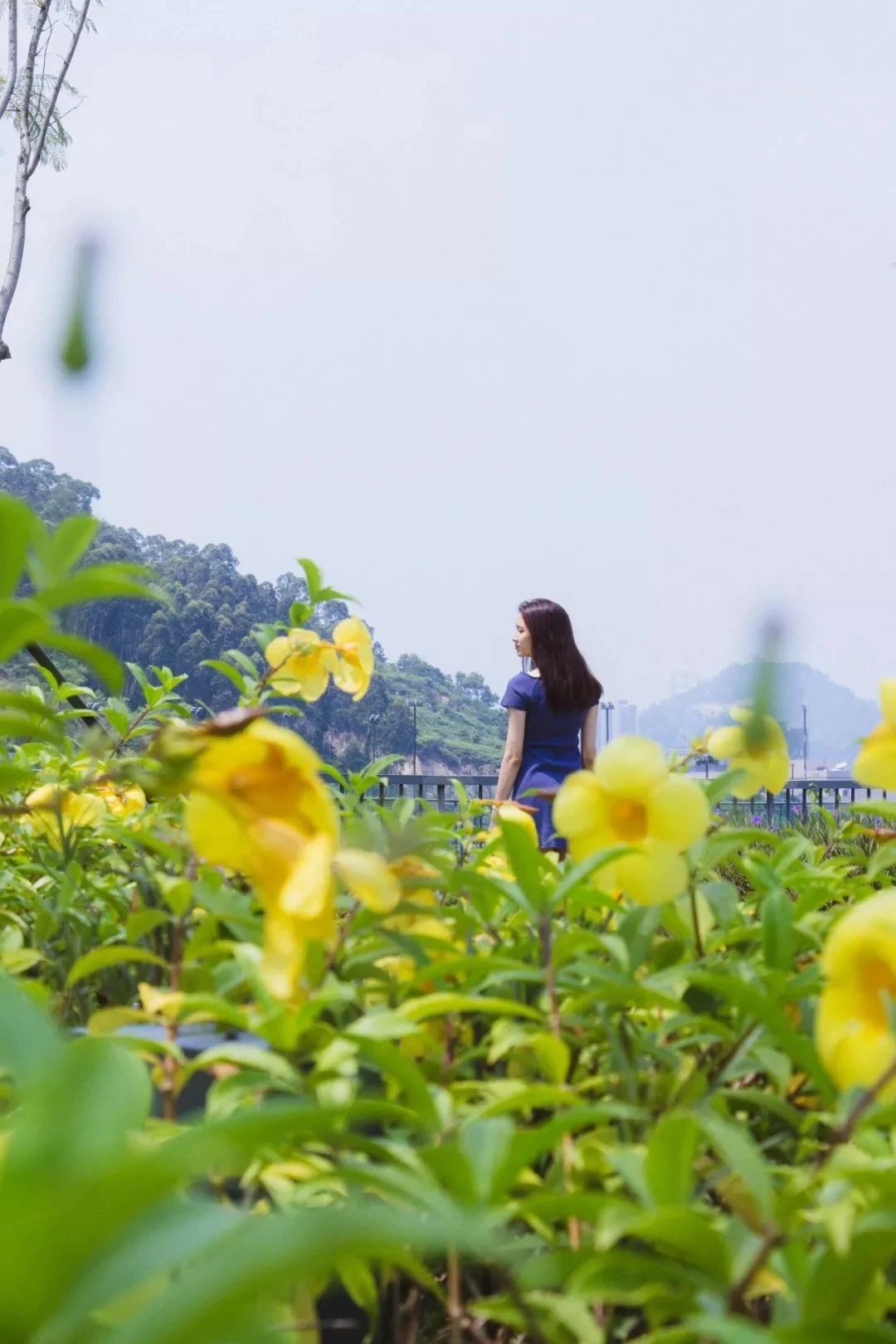 深圳旅游好去处推荐,深圳宝安区周末休闲浪漫好去处