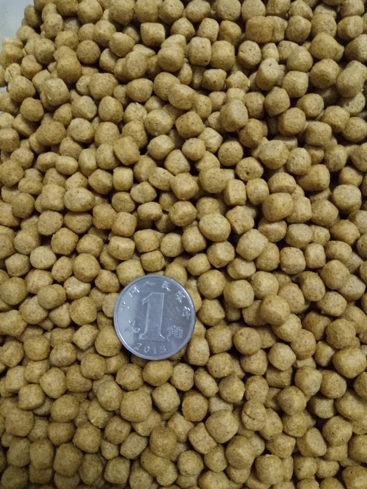 黄头侧颈龟深度解析,黄头侧颈龟各阶段样子