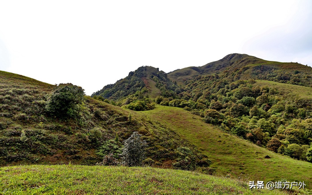广东最美草原,藏在广东的八大草原