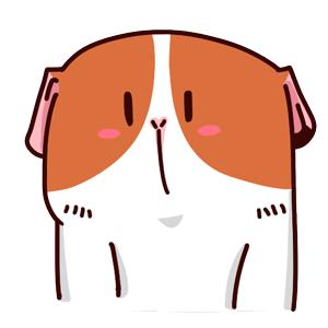 73220000000元！我是2019的晋江…今晚先带你“火”一把！