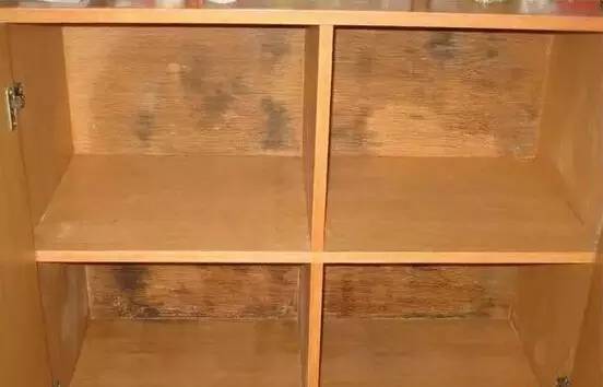 柜子受潮发霉怎么解决,柜子发霉最好的解决办法