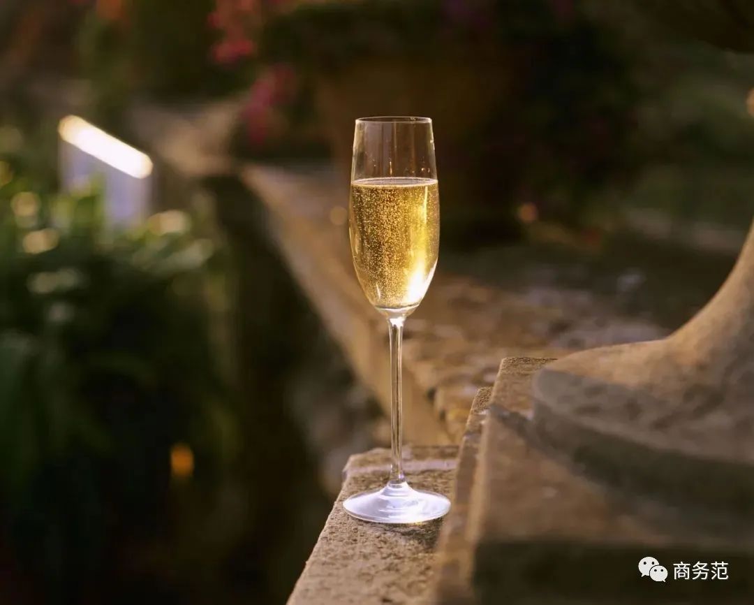 世界最好的起泡酒,列举三款世界最著名的起泡酒